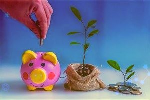 复工复产助力,这个板块满屏涨停!北向资金增持这些业绩暴增股