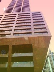 中国企业海外发展报告:民营企业外贸主体地位进一步巩固